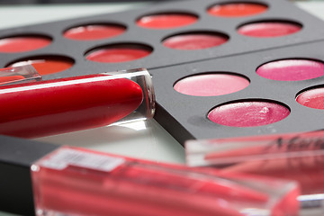 Image showing set of professional makeup artist. Different Lipstick