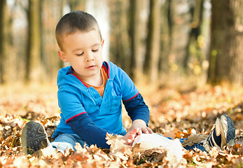 Image showing Little boy is reading book