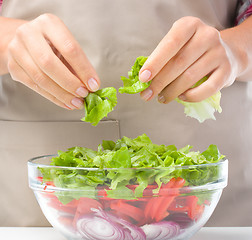 Image showing Cook is tearing lettuce while making salad