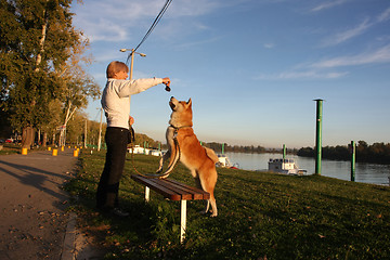Image showing Landy palying with dog