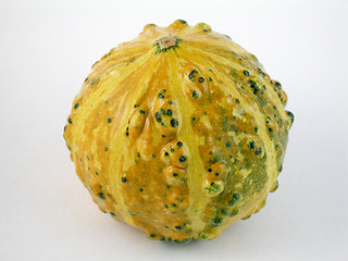 Image showing Gourd