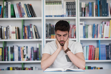 Image showing student study  in school library