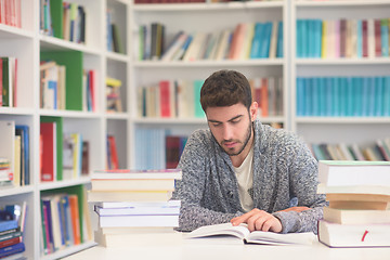 Image showing portrait of student while reading book  in school library