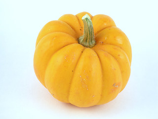 Image showing Pumpkin