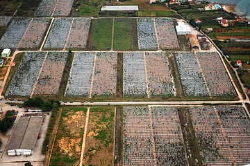 Image showing Agriculture from the sky