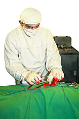 Image showing Surgeon at work