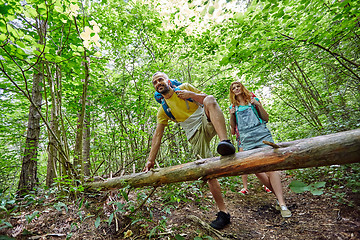 Image showing group of smiling friends with backpacks hiking