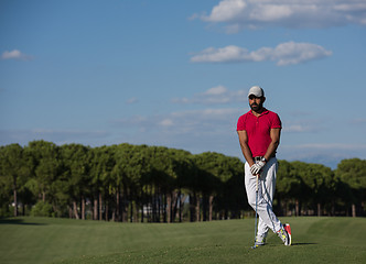 Image showing handsome middle eastern golf player portrait at course