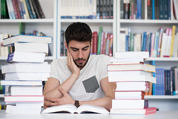 Image showing student study  in school library