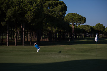 Image showing pro golfer hitting a sand bunker shot