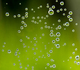 Image showing green abstract background with water drops