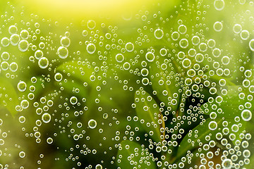 Image showing green abstract background with water drops