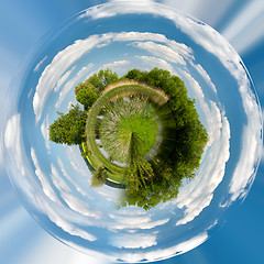 Image showing Beautiful summer rural landscape, tiny planet