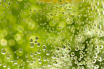 Image showing green abstract background with water drops