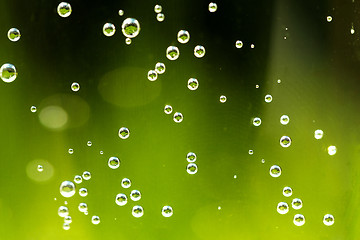 Image showing green abstract background with water drops