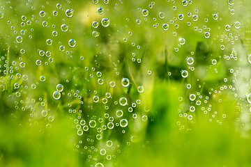 Image showing green abstract background with water drops