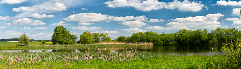 Image showing Beautiful summer rural landscape