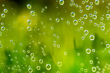 Image showing green abstract background with water drops