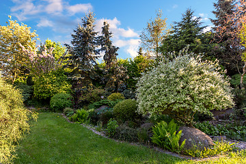 Image showing Beautiful spring garden design