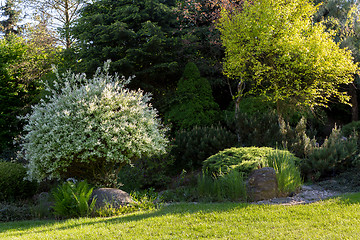 Image showing Beautiful spring garden design