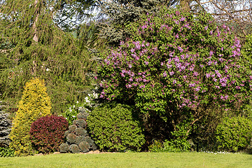 Image showing Beautiful spring garden design