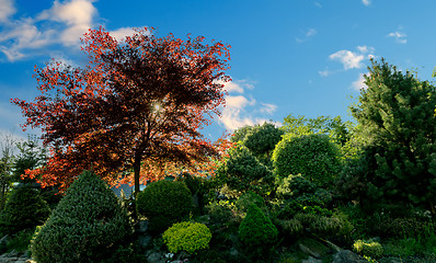 Image showing Beautiful spring garden design