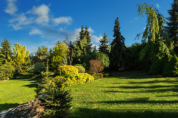 Image showing Beautiful spring garden design