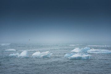 Image showing Blue icebergs closeup