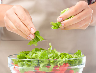 Image showing Cook is tearing lettuce while making salad