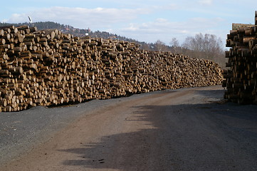 Image showing Timber