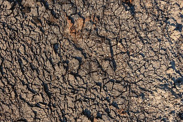 Image showing Dry soil closeup before rain