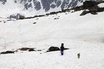 Image showing Hiker and dog in snowy mountains at spring