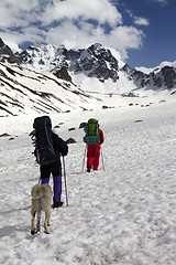 Image showing Dog and two hikers in snowy mountains