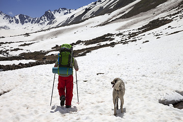Image showing Hiker with dog in snowy mountains at spring