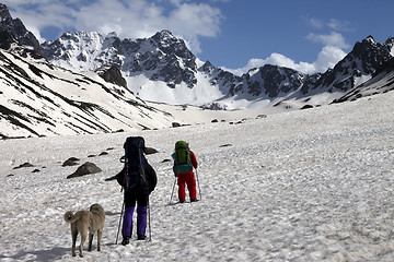 Image showing Two hikers with dog in spring snowy mountains