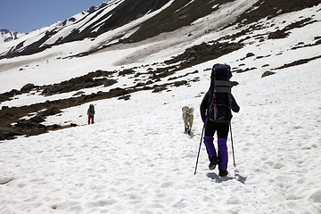 Image showing Two hikers and dog in snowy mountains at spring