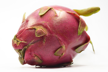 Image showing Dragon fruit or pitaya