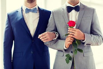 Image showing close up of happy male gay couple holding hands