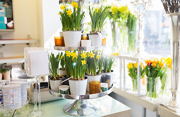 Image showing narcissus flowers on stand at flower shop