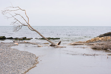 Image showing  Sukko Mouth of the river where it flows into the Black Sea