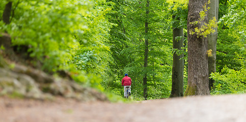 Image showing Cyclist Riding Bycicle on Forest Trail.