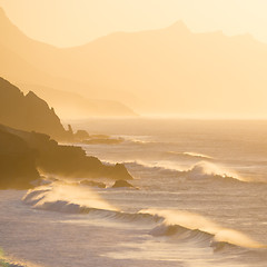 Image showing Pared beach, Fuerteventura, Canary Islands, Spain