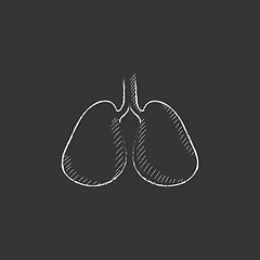 Image showing Lungs. Drawn in chalk icon.