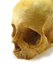 Image showing skull