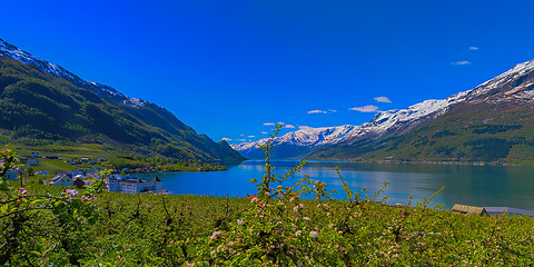 Image showing Hardangerfjord in Norway