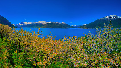 Image showing Hardangerfjord in Norway