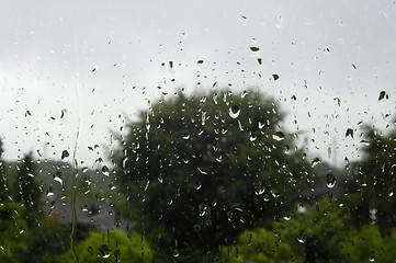 Image showing Rain on window