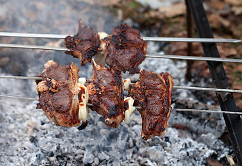 Image showing Shashlik of lamb