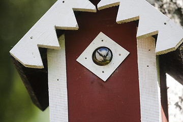 Image showing blue tit