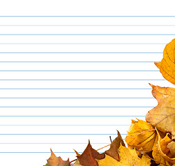 Image showing Autumn maple-leafs and notebook paper